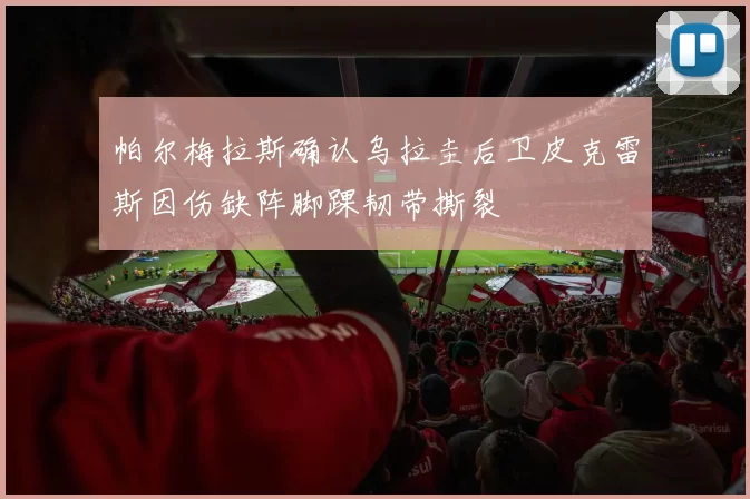 帕尔梅拉斯确认乌拉圭后卫皮克雷斯因伤缺阵脚踝韧带撕裂